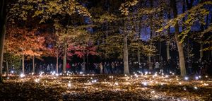 Birmingham Light Festival