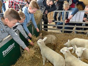Supporting image for story: Hundreds turn out to admire lambs ‘down on the farm’ at college event