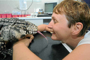Supporting image for story: Off-colour reptile enjoys special care at Shifnal vets
