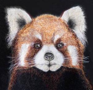 Endangered Red Panda
Freemotion stitch on painted calico
By Susan Fielding