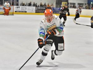 Supporting image for story: Telford Tigers on hunt for more silverware 