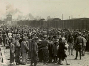 The arrival and processing of an entire transport of Jews to Auschwitz-Birkenau