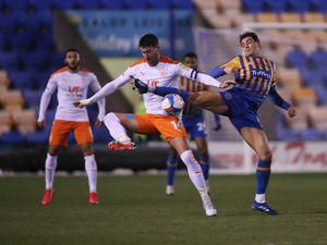 Supporting image for story: Shrewsbury 1 Blackpool 0 - Report 