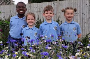 Supporting image for story: The Black Country schools that are top of the class as climate is put on the curriculum