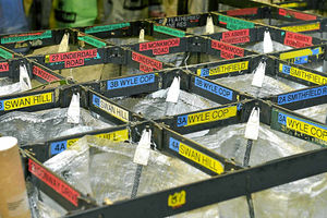 Supporting image for story: 134 take redundancy at Shrewsbury Royal Mail sorting office