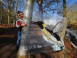Supporting image for story: Special penguin artwork clinging on at Himley hall