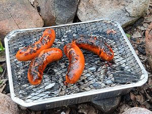 Supporting image for story: Doreen Tipton: Anyone fancy a charred burger?