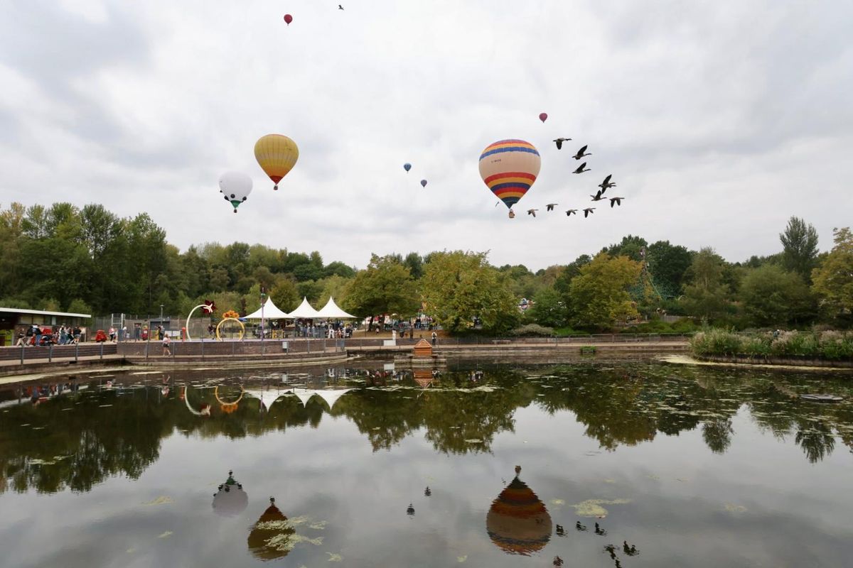 12 uplifting photos as crowds pack into town park for Telford Balloon Fiesta