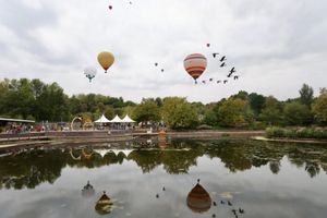 Balloons floating above the town park. Picture: Telford & Wrekin Council