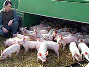 Supporting image for story: Getting into bed with the bully