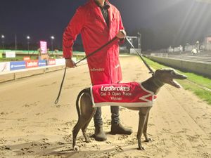 Mark Russell with kennel superstar Magical Bluebear