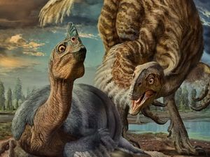 Supporting image for story: A fossil of a giant dinosaur with feathers and a beak has been uncovered