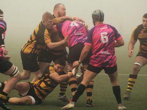 Supporting image for story: Hornets lose their way on foggy day