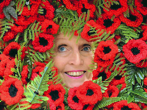 Supporting image for story: 2,000 knitted poppies to sell for British Legion