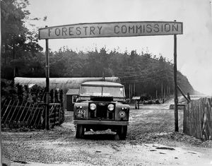 The commission's nursery, where millions of new trees were nurtured every year, pictured in March, 1964