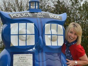 Supporting image for story: Dr Whoot finds a new nest with Nicola