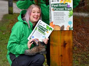 Supporting image for story: 'Ditch the screen and feel good with nature' - Message from forestry chiefs for Cannock Chase visitors