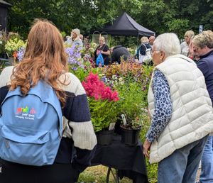 Summer Plant Hunters' Fair at Whittington Castle 