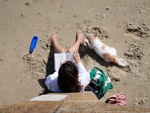 Supporting image for story: Warm and dry weather to continue but with temperatures below 23C highs