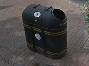 Supporting image for story: Stafford litter concerns spark bin review call