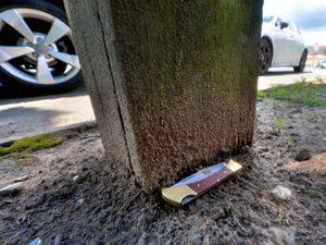 Supporting image for story: Chilling sight of a blade metres from an anti-knife crime march was 'shocking'  