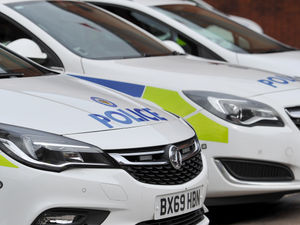 Supporting image for story: Vandals armed with golf balls kill duck and damage greenhouse in Stafford