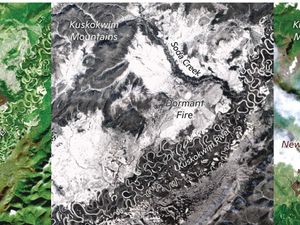 Supporting image for story: Zombie fires ‘may account for third of total burn area in Arctic forests’