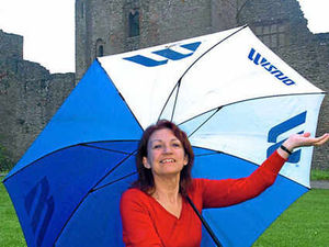 Supporting image for story: All ready for Ludlow Festival despite weather