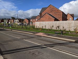 Supporting image for story: Lives at risk claim as crossing faces delays
