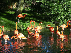 Supporting image for story: Venice of the Cotswolds