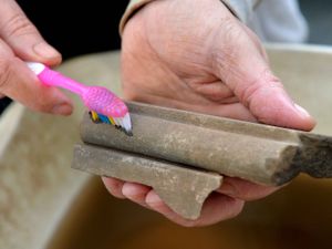 Supporting image for story: Talk set to reveal the archaeological discoveries at Shropshire beauty spot