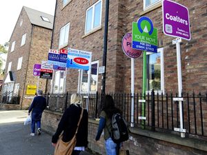 Supporting image for story: House sales, prices and buyer inquiries increased in December – surveyors