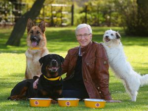 Supporting image for story: Donations to Battersea Dogs and Cats Home pass £100,000 after Paul O’Grady death