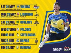 Supporting image for story: Exclusive offer: Save £15 on Birmingham Bears T20 Vitality Blast tickets 