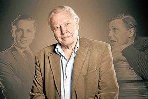 Supporting image for story: TV review: Attenborough: 60 Years in the Wild - Our Fragile Planet
