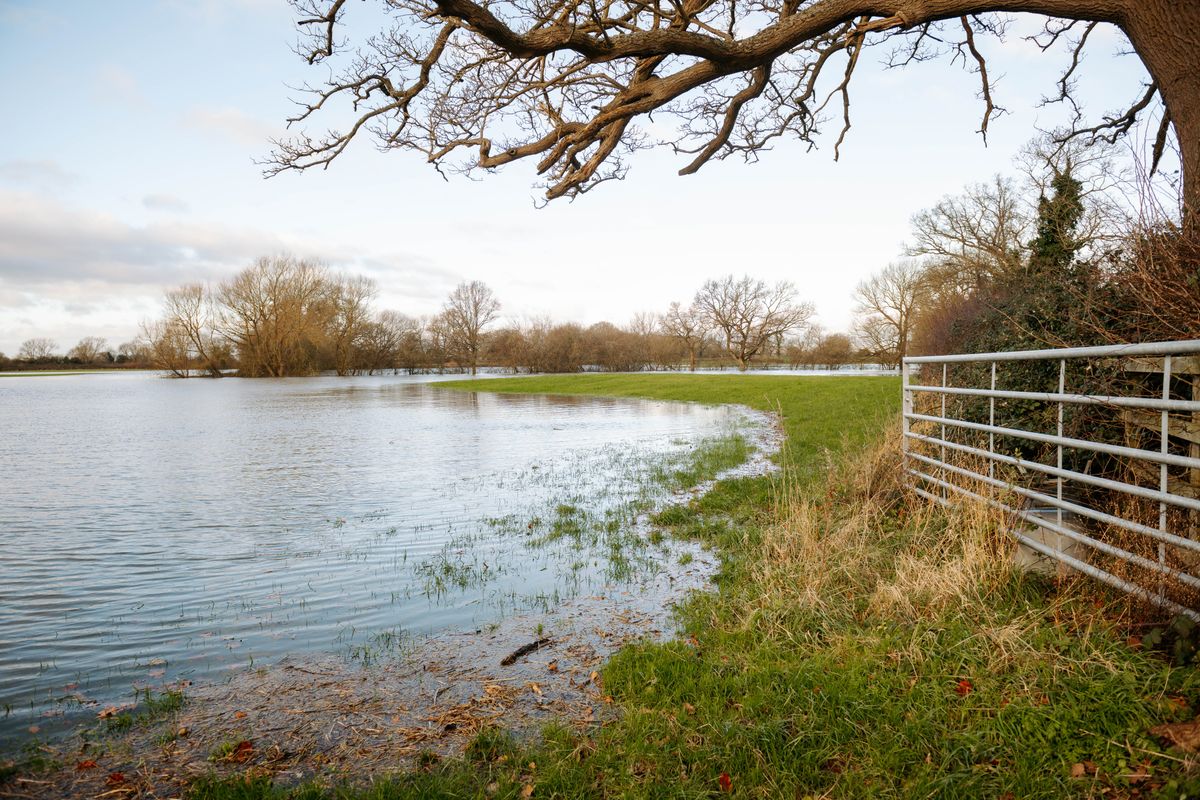 Four flood alerts in place around Shropshire as river levels continue to rise