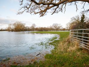 Supporting image for story: Four flood alerts in place around Shropshire as river levels continue to rise