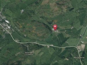 Supporting image for story: Bridge to allow cattle to cross river will not need formal application