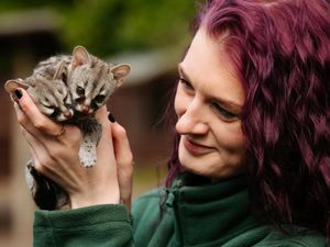 Supporting image for story: So cute! Amazing pictures of new arrivals born at zoos in the West Midlands