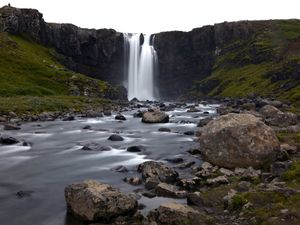 Supporting image for story: Andy Richardson: A moose loose about this . . . road trip 