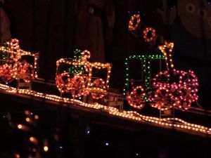 Supporting image for story: People have come from all over the world to see these incredible charity Christmas lights