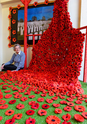 Win Coombes, aged 96, who is the oldest member of the Knit and Natter group at Willenhall Library, next to the poppy display she helped to create in 2018