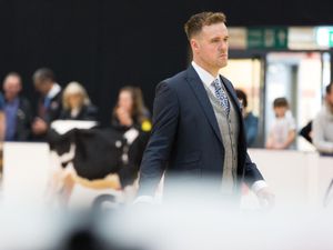 Supporting image for story: Shrewsbury farmer joins Borderway UK Dairy Expo 2025 judging panel