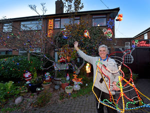 Supporting image for story: Rushall house covered in Christmas lights in October