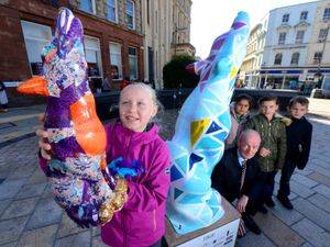 Supporting image for story: Final chance to say farewell to Wolves in Wolves