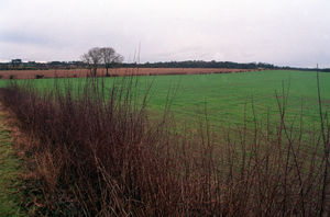 A view of the general area where a V1 flying bomb landed. The site was between the disused railway line and the Stafford Road. This photo, taken in 2003, is looking north east towards Stafford Road. 