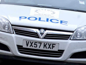 Supporting image for story: Alarm raised as bull escapes from Broseley field