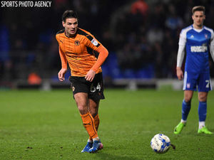 Supporting image for story: Ben Marshall: Our Wolves confidence is back