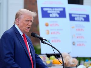 Supporting image for story: Donald Trump targets Kamala Harris on inflation and economics