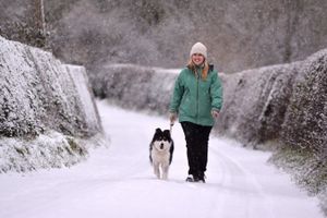 A dog walker (Megan Jones) during heavy snowfall in the village of Wrockwardine, Shropshire on Sunday, January 4, 2026. Credit: Mike Sheridan